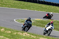 anglesey-no-limits-trackday;anglesey-photographs;anglesey-trackday-photographs;enduro-digital-images;event-digital-images;eventdigitalimages;no-limits-trackdays;peter-wileman-photography;racing-digital-images;trac-mon;trackday-digital-images;trackday-photos;ty-croes
